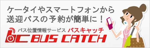 BUS CATCH