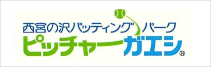 ピッチャーガエシ